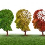 L'Alzheimer e l'alimentazione