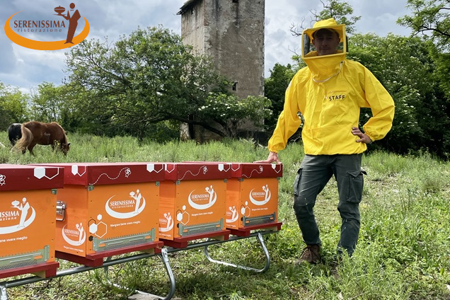 Serenissima Ristorazione e apicoltura urbana
