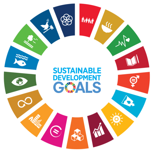 Logo del Sustainable Development Goals